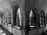 Muckross Abbey